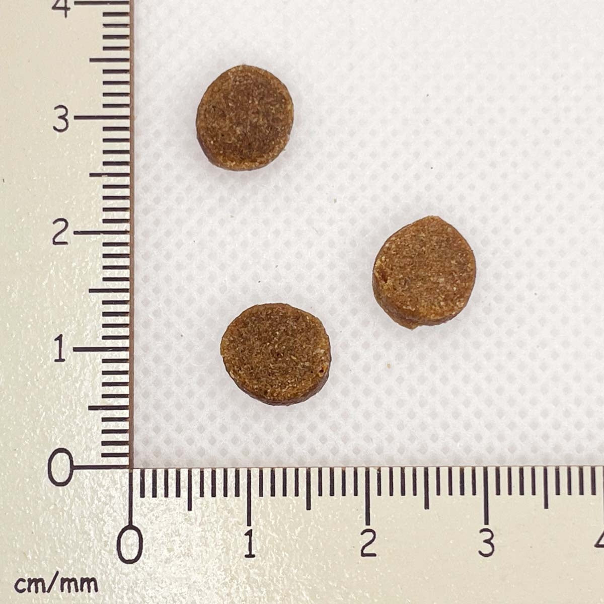 【ヤムヤムヤム! yum yum yum! 】犬用フード シニア&ライト 馬肉 やわらかドライタイプ 小粒タイプ 400g(80g×5)