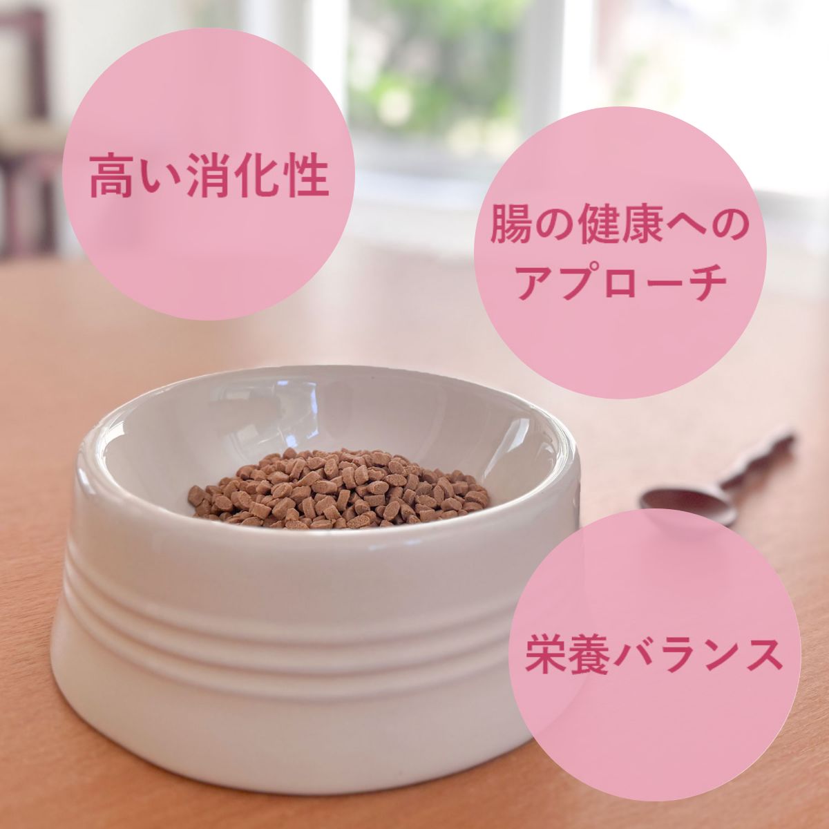 【ヤムヤムヤム! yum yum yum! 】犬用フード 健康マネジメント消化サポート チキン ドライタイプ 超小粒タイプ 500g 犬用 フード 国産 食事療法食