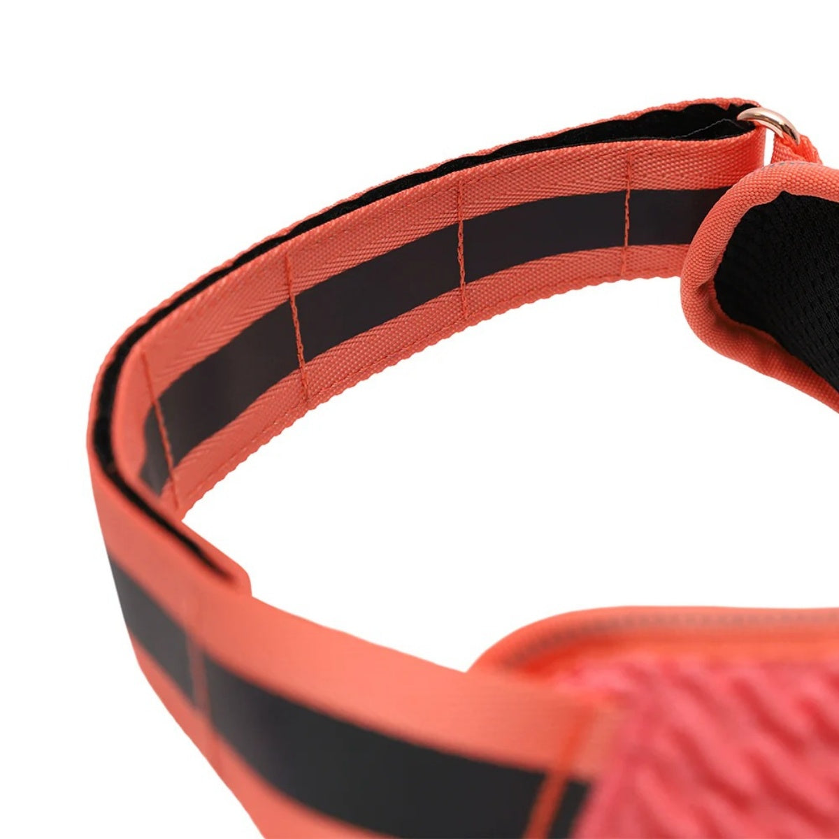 【zee.dog ジードッグ】FLY HARNESS ガゼル フライハーネス XS S M L XLサイズ