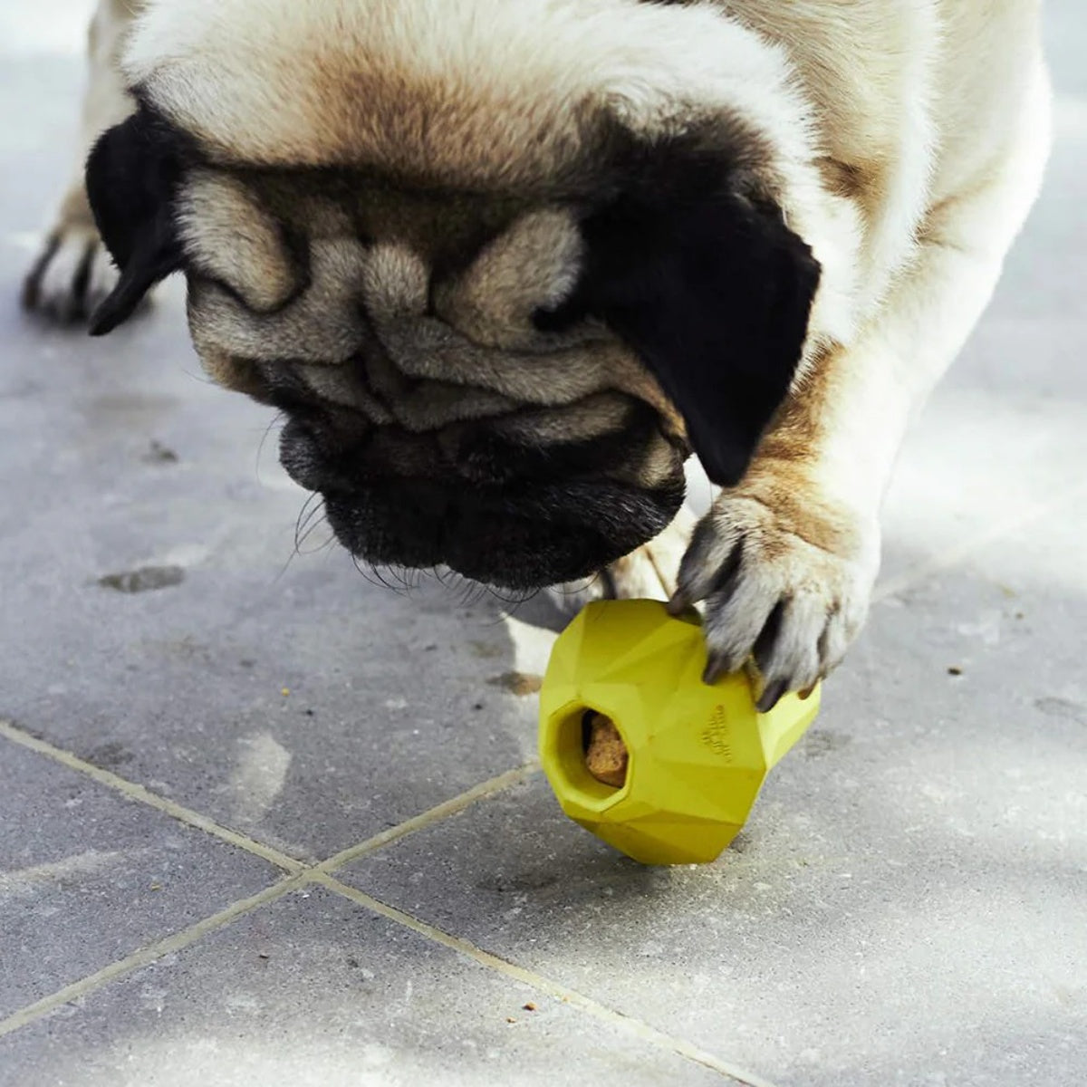 【zee.dog ジードッグ】SUPER FRUITZ スーパーフルーツ ペット用知育玩具