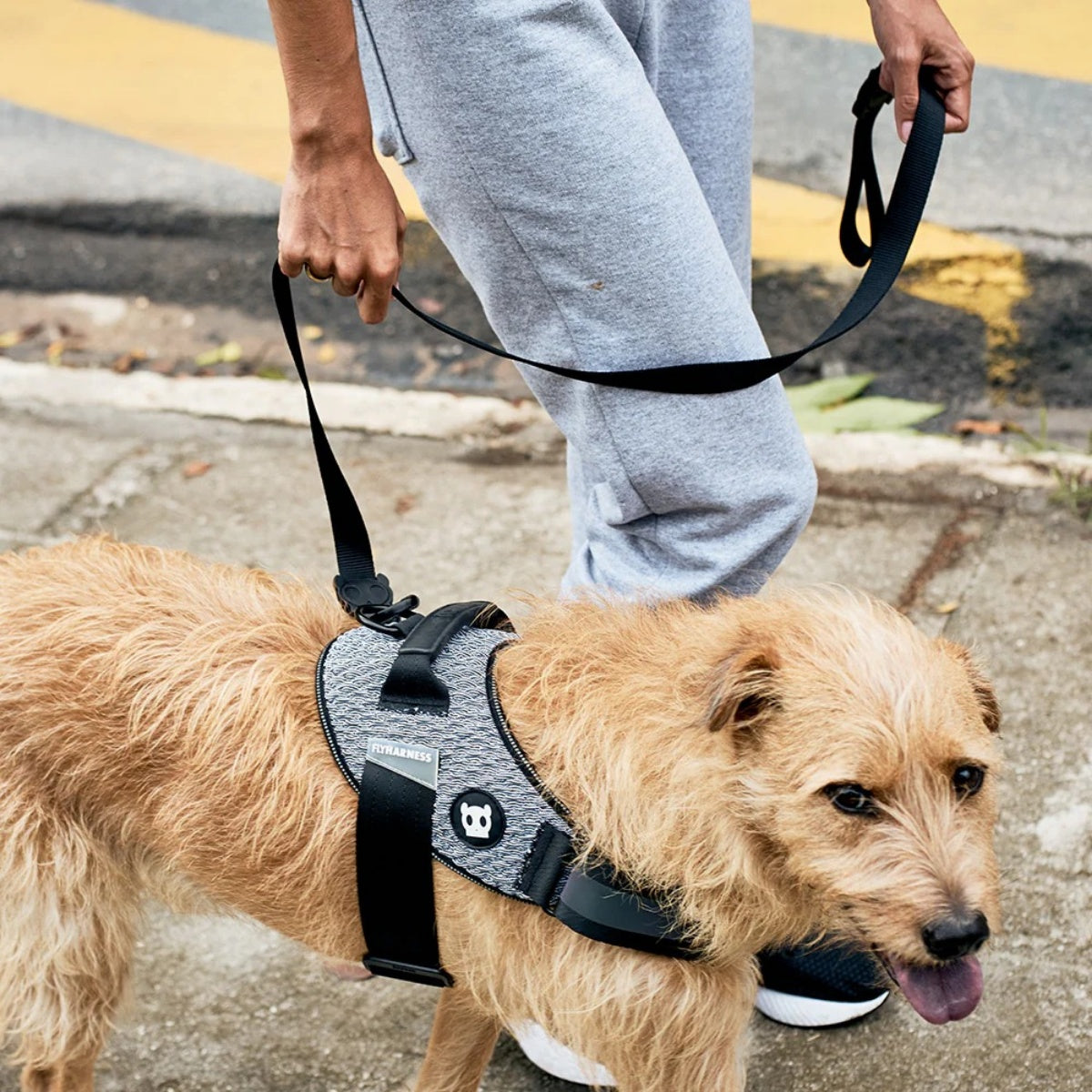 【zee.dog ジードッグ】LEASH ゴッサム リード