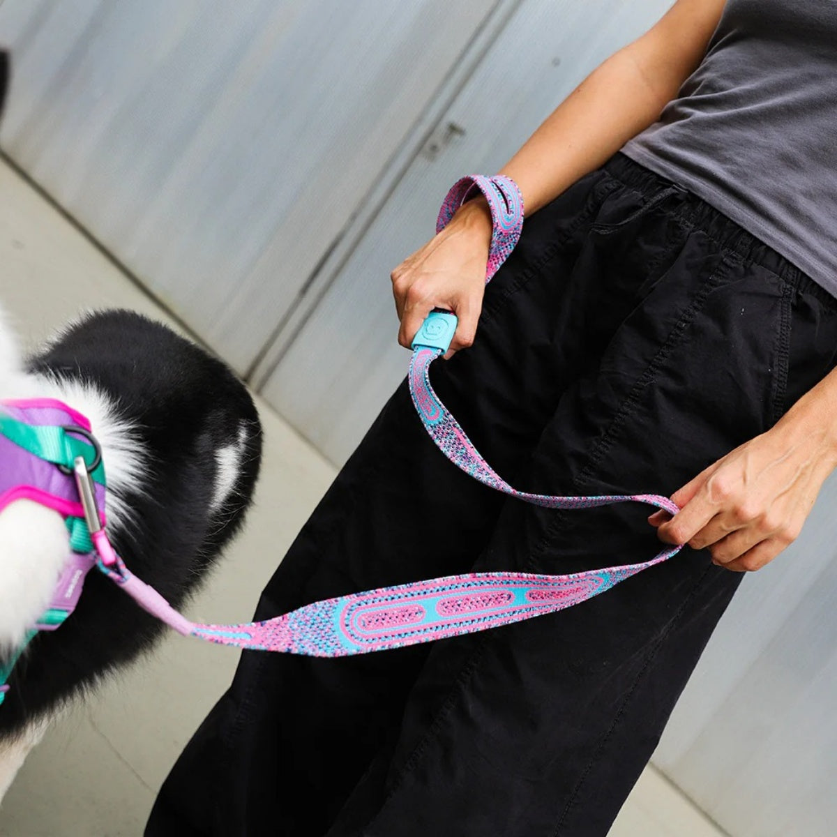 【zee.dog ジードッグ】NIT LEASH キャンディ ニットリーシュ