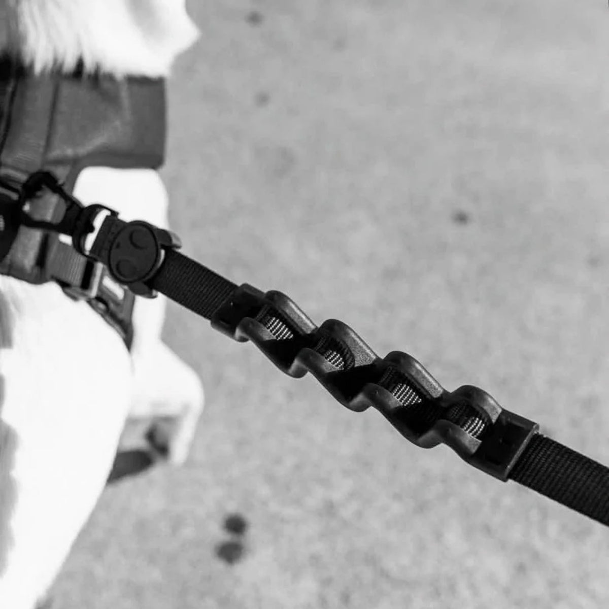 【zee.dog ジードッグ】RUFF LEASH ゴッサム ラフリード