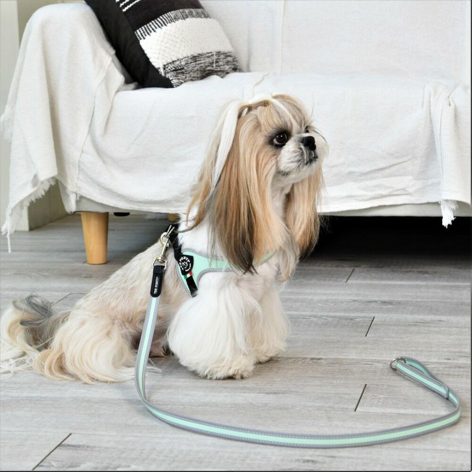 【トレポンティ Tre Ponti】リーシュフォースモールブリーズ Leash For Small Breeds