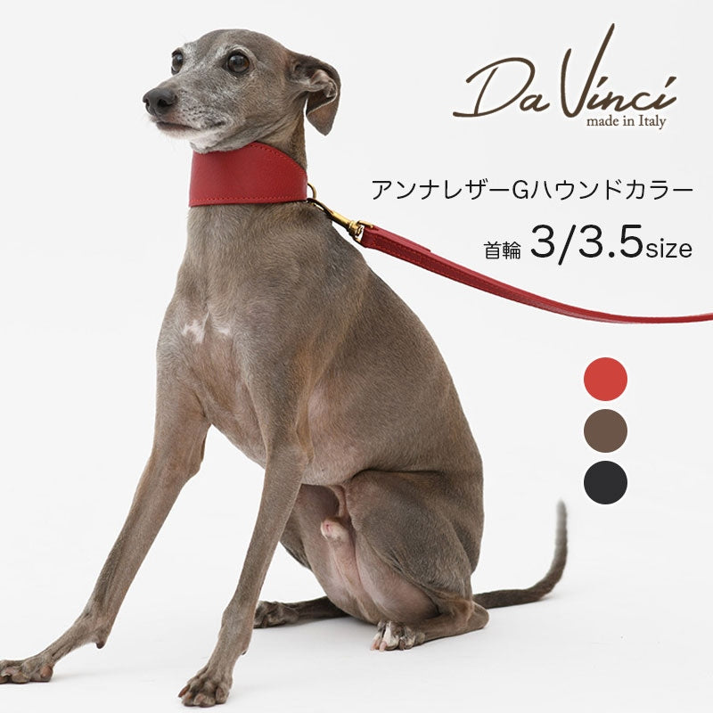 【Da Vinci ダヴィンチ】アンナレザー グレーハウンド カラー サイズ3／3.5 ※在庫限りで終了※