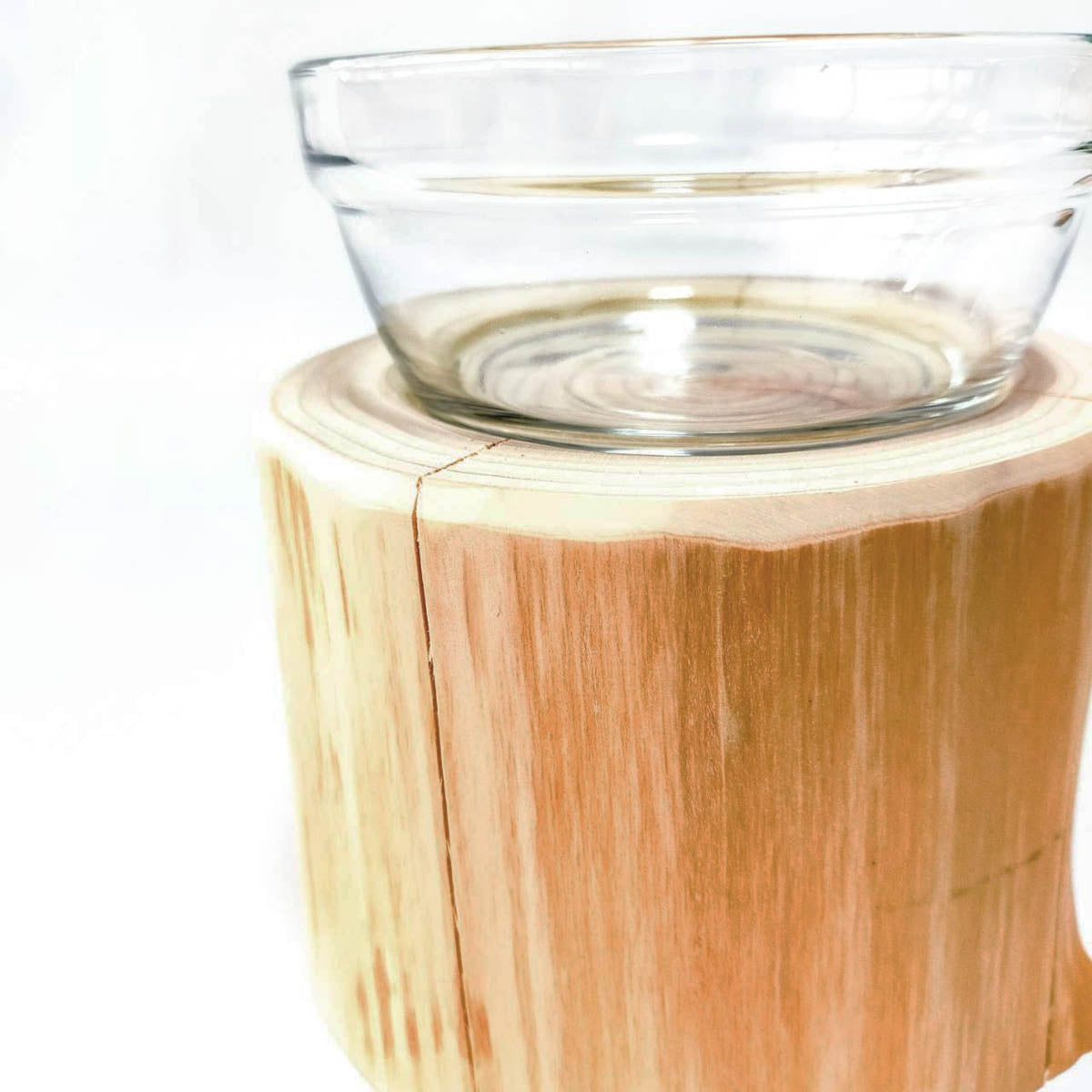 【Felesto フェレスト】Log Bowl ヒノキのログボウル 丸太の餌台 ごはんお水兼用 節なし