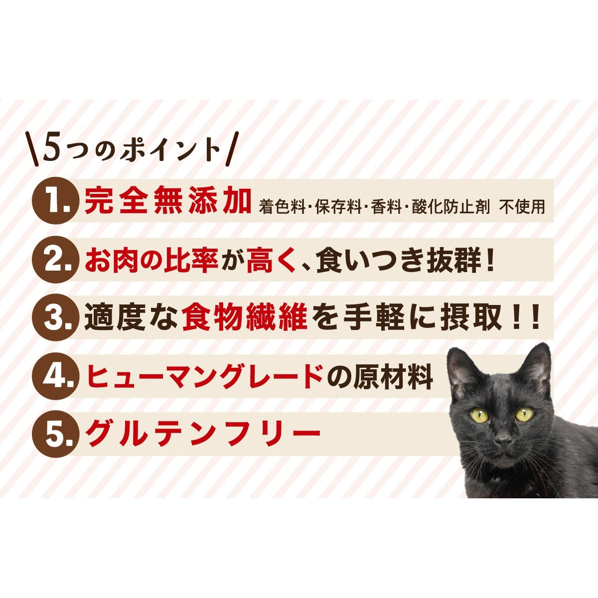 【Monsieur Masuno ARPAJON / ムッシュマスノ アルパジョン】ニャンコのおやつ 鶏・牛・豚・鰹 ミックス 猫 おやつ 100%ヒューマングレード グルテンフリー