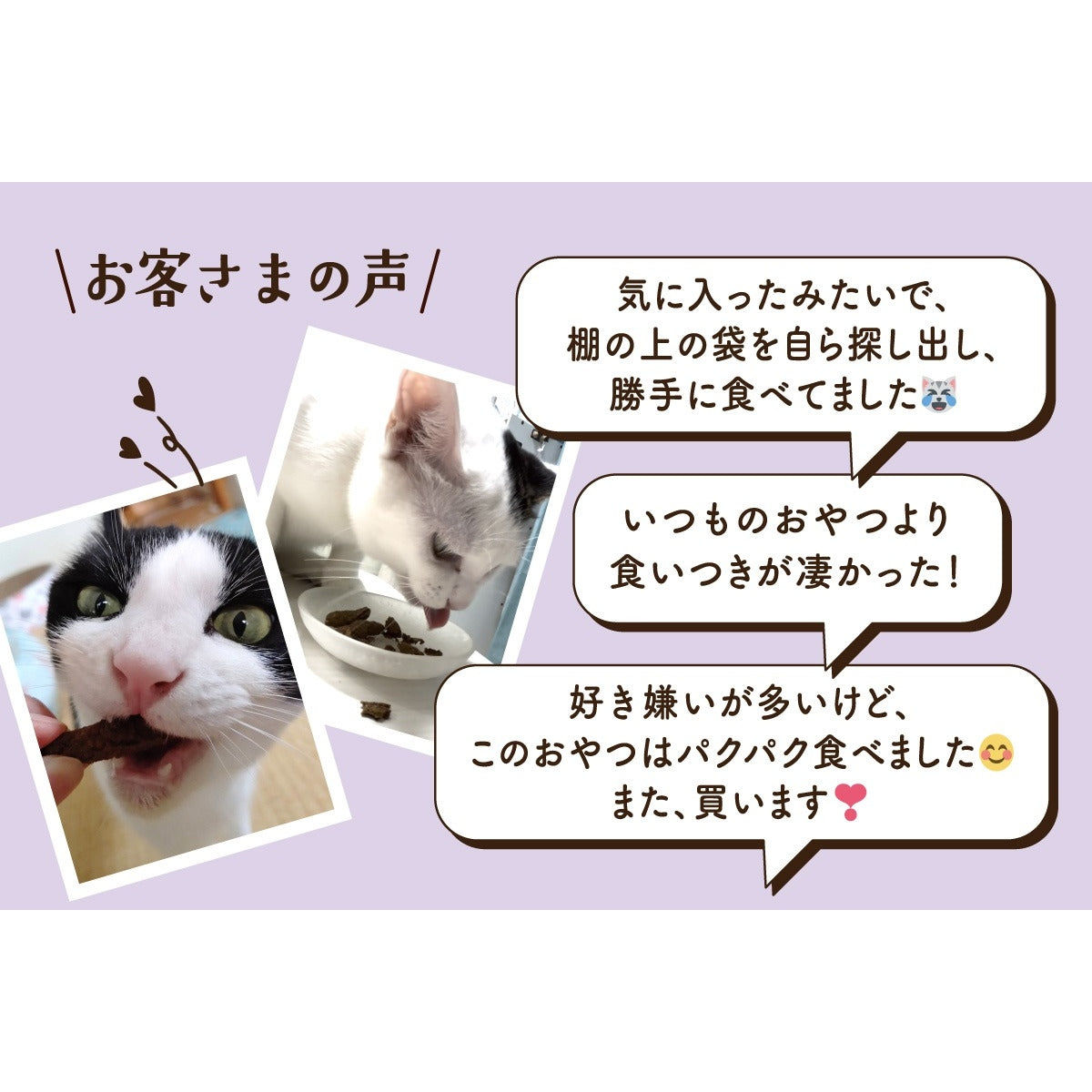 【Monsieur Masuno ARPAJON / ムッシュマスノ アルパジョン】ニャンコのおやつ 鶏・牛・豚・鰹 ミックス 猫 おやつ 100%ヒューマングレード グルテンフリー