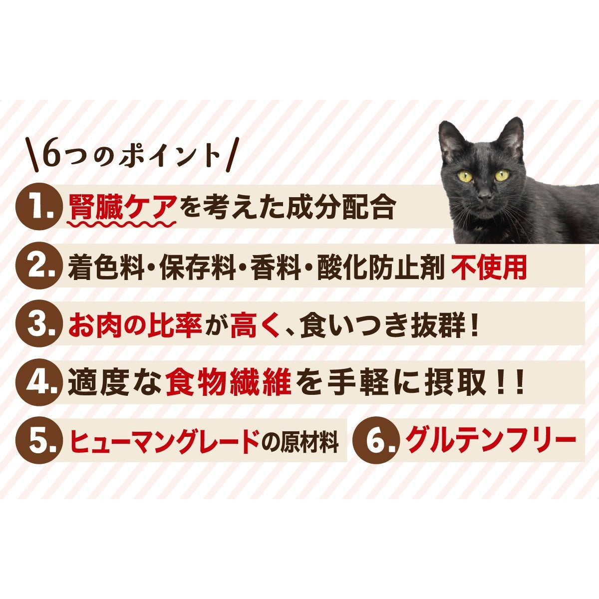【Monsieur Masuno ARPAJON / ムッシュマスノ アルパジョン】ニャンコのおやつ プレミアム 鶏・牛・豚・鰹 ミックス 猫 おやつ 100%ヒューマングレード グルテンフリー