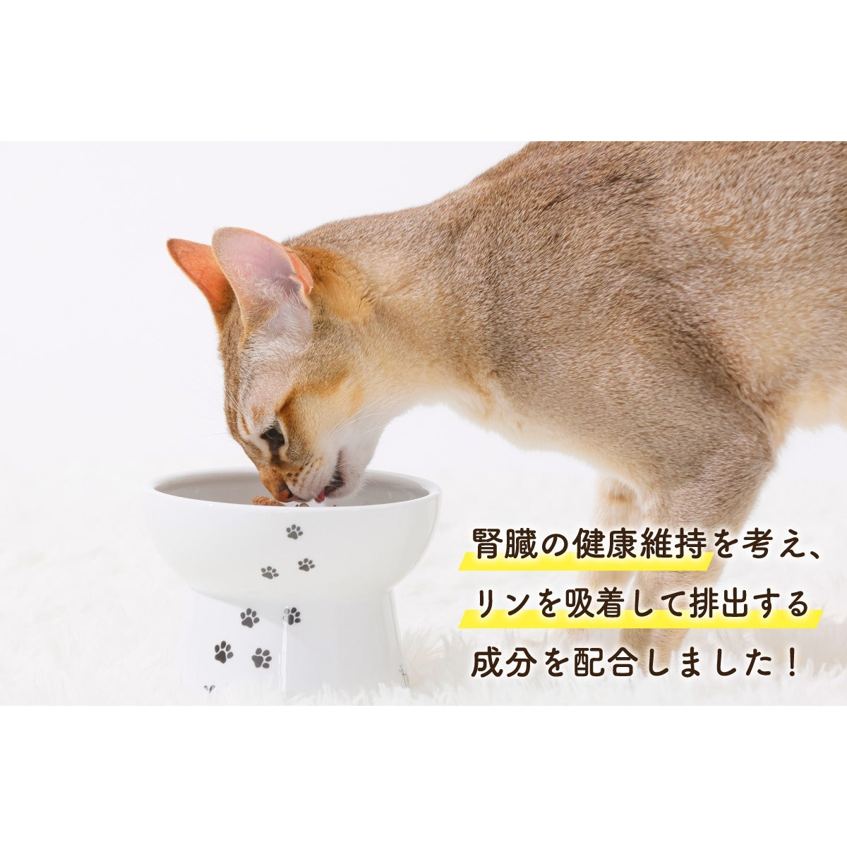 【Monsieur Masuno ARPAJON / ムッシュマスノ アルパジョン】ニャンコのおやつ プレミアム 鶏・牛・豚・鰹 ミックス 猫 おやつ 100%ヒューマングレード グルテンフリー