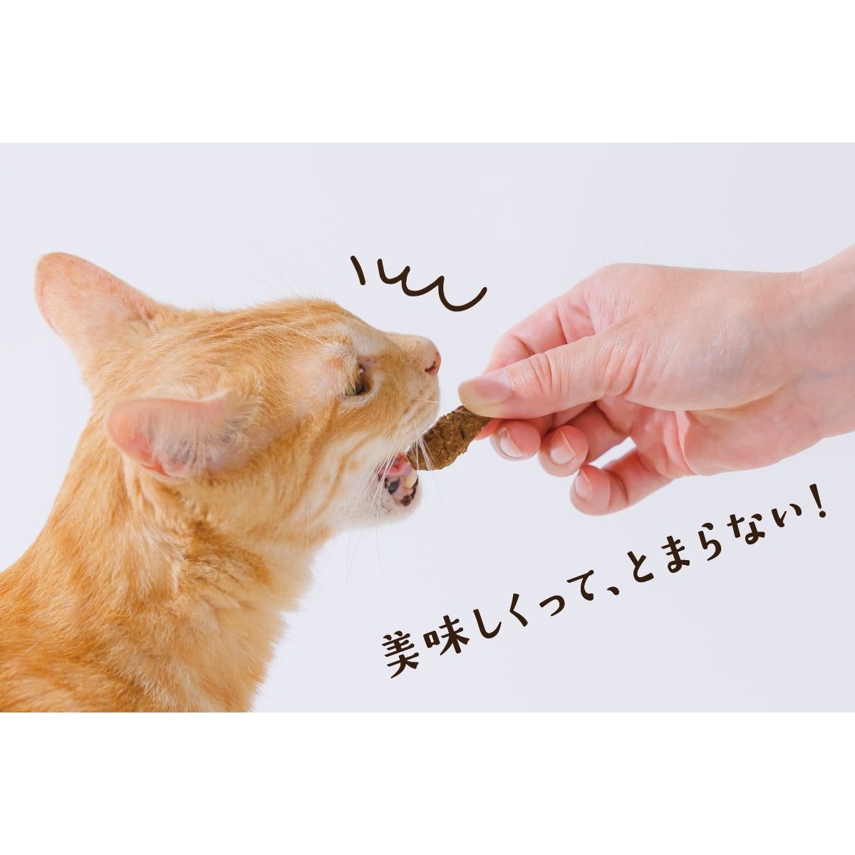 【Monsieur Masuno ARPAJON / ムッシュマスノ アルパジョン】ニャンコのおやつ プレミアム 鶏・牛・豚・鰹 ミックス 猫 おやつ 100%ヒューマングレード グルテンフリー