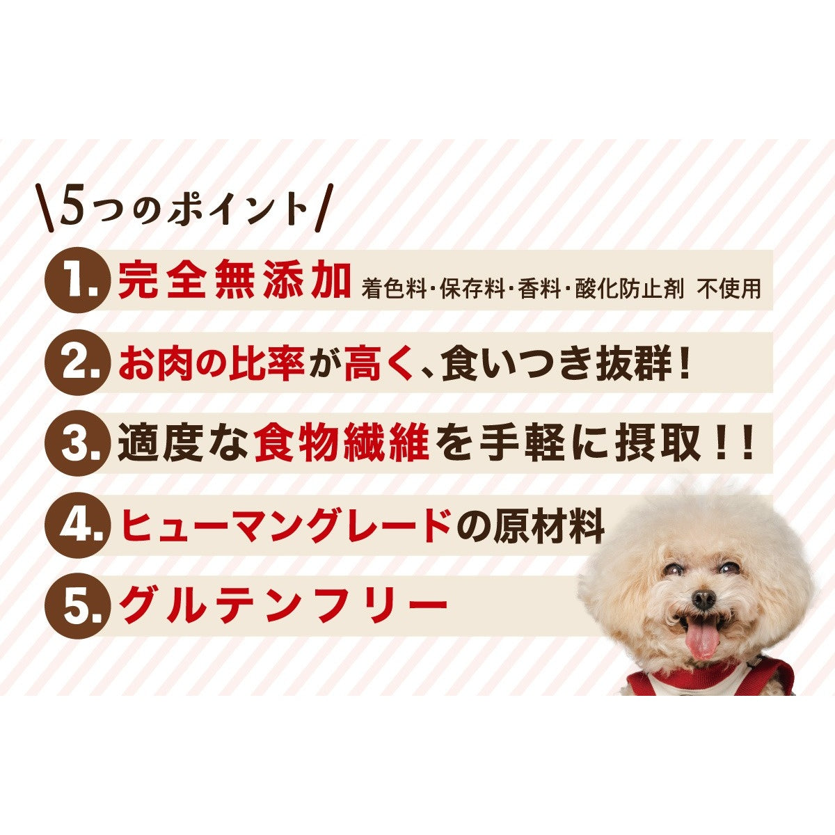 【Monsieur Masuno ARPAJON / ムッシュマスノ アルパジョン】ワンちゃんのおやつ 豚 犬 おやつ 100%ヒューマングレード グルテンフリー