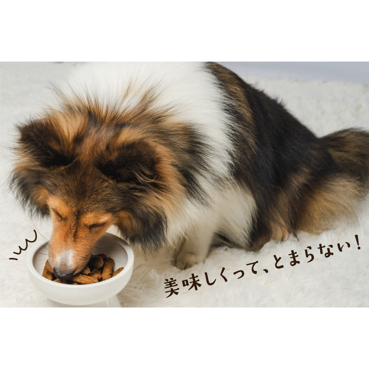 【Monsieur Masuno ARPAJON / ムッシュマスノ アルパジョン】ワンちゃんのおやつ 豚 犬 おやつ 100%ヒューマングレード グルテンフリー