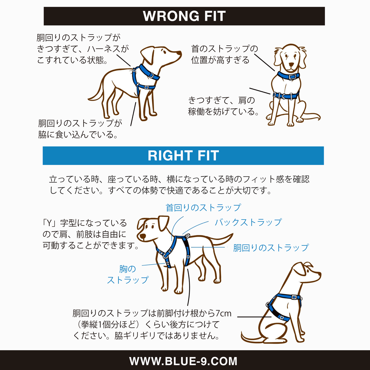 【Blue-9 ブルーナイン】バランスハーネス XS-Lサイズ