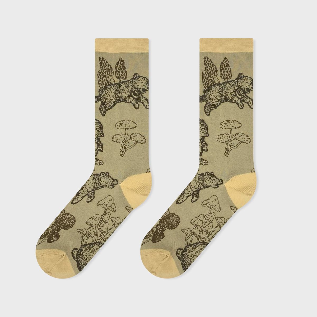 【Tomoaki Murayama / 村山大明×bpbp】SOCKS BEAR クマ ソックス