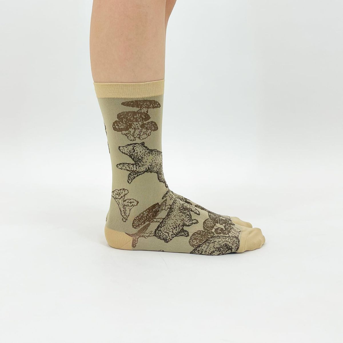 【Tomoaki Murayama / 村山大明×bpbp】SOCKS BEAR クマ ソックス