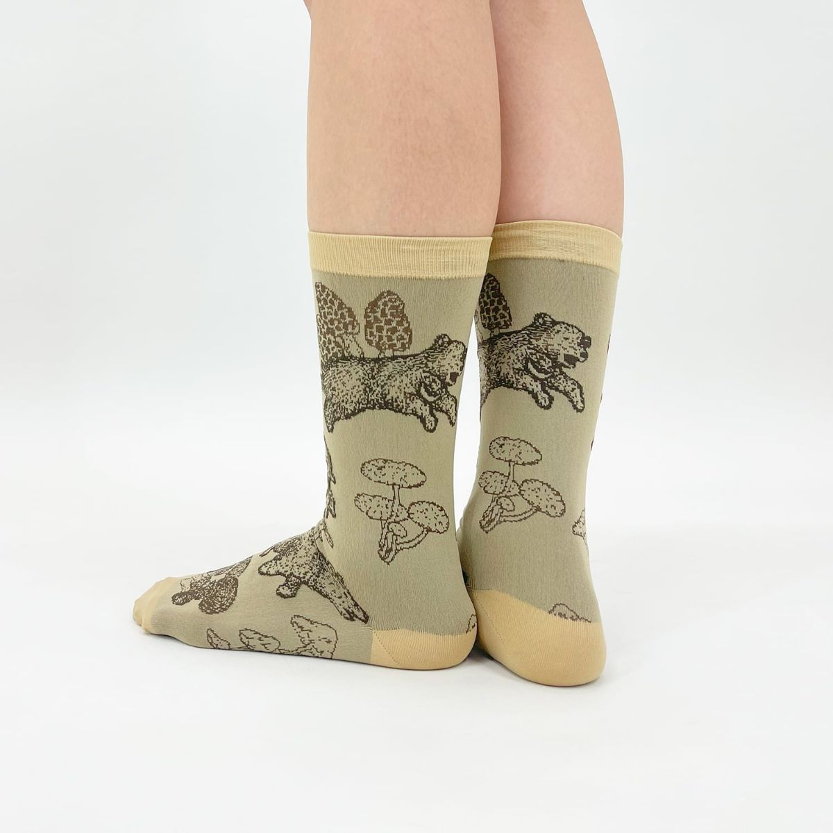 【Tomoaki Murayama / 村山大明×bpbp】SOCKS BEAR クマ ソックス