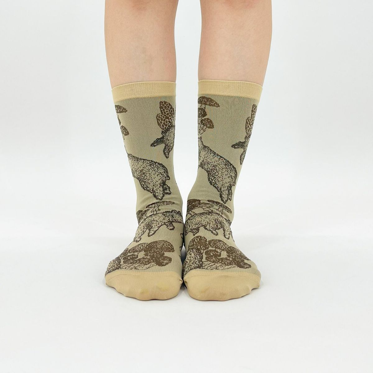 【Tomoaki Murayama / 村山大明×bpbp】SOCKS BEAR クマ ソックス