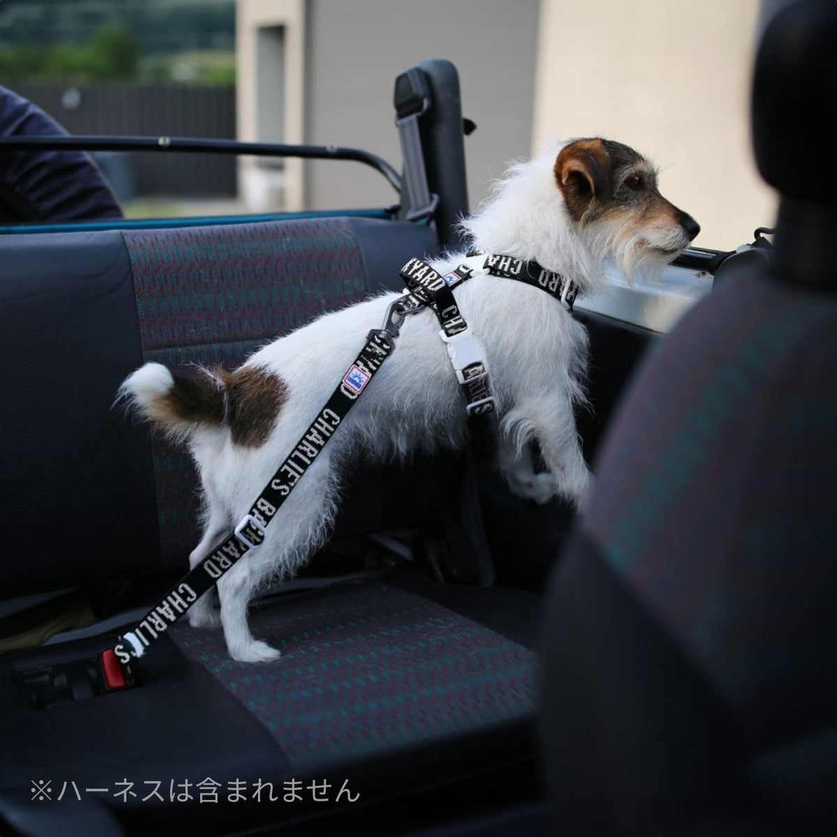 【CHARLIE'S BACKYARD チャーリーズバックヤード】TRIP SEATBELT シートベルトリード 犬用 シートベルト