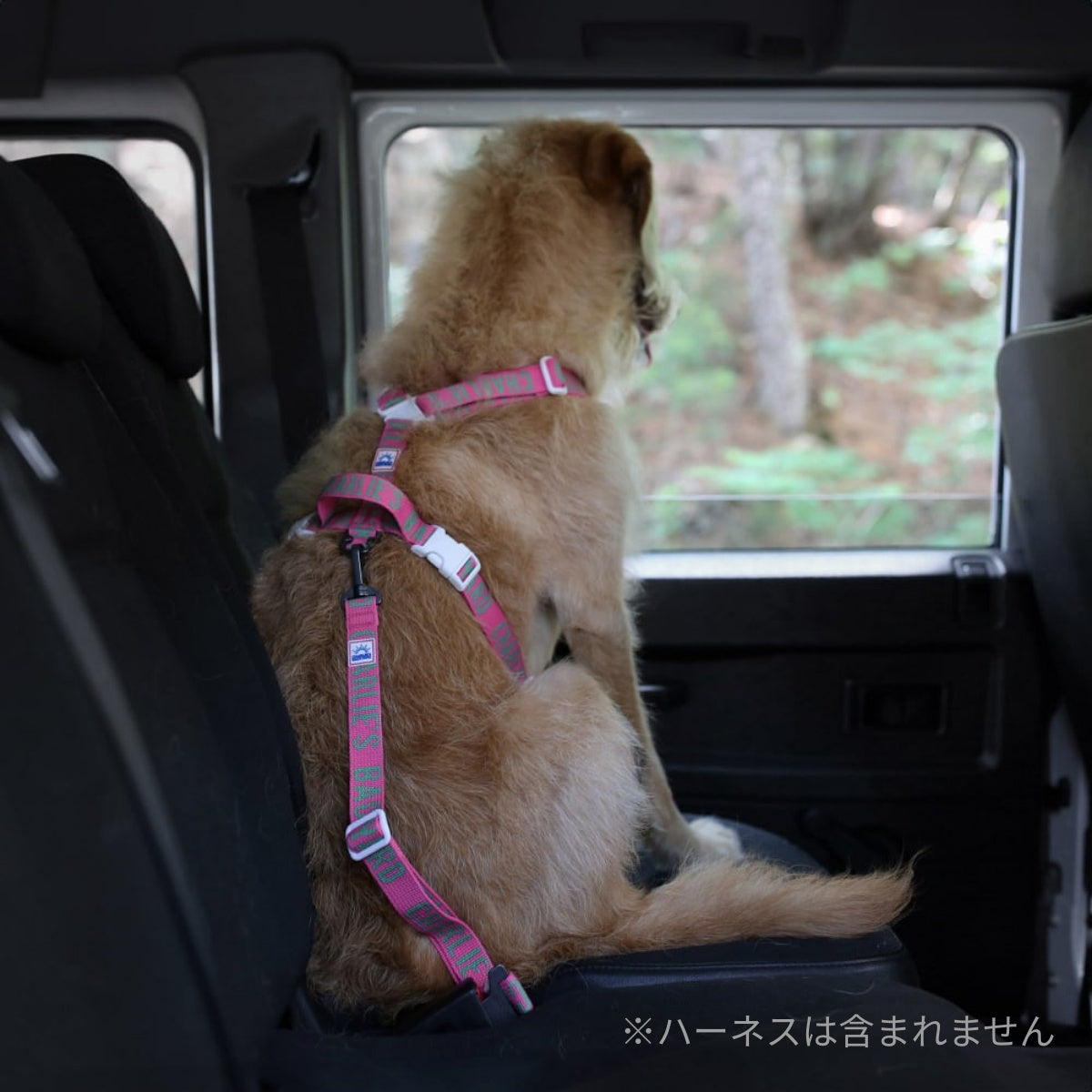 【CHARLIE'S BACKYARD チャーリーズバックヤード】TRIP SEATBELT シートベルトリード 犬用 シートベルト
