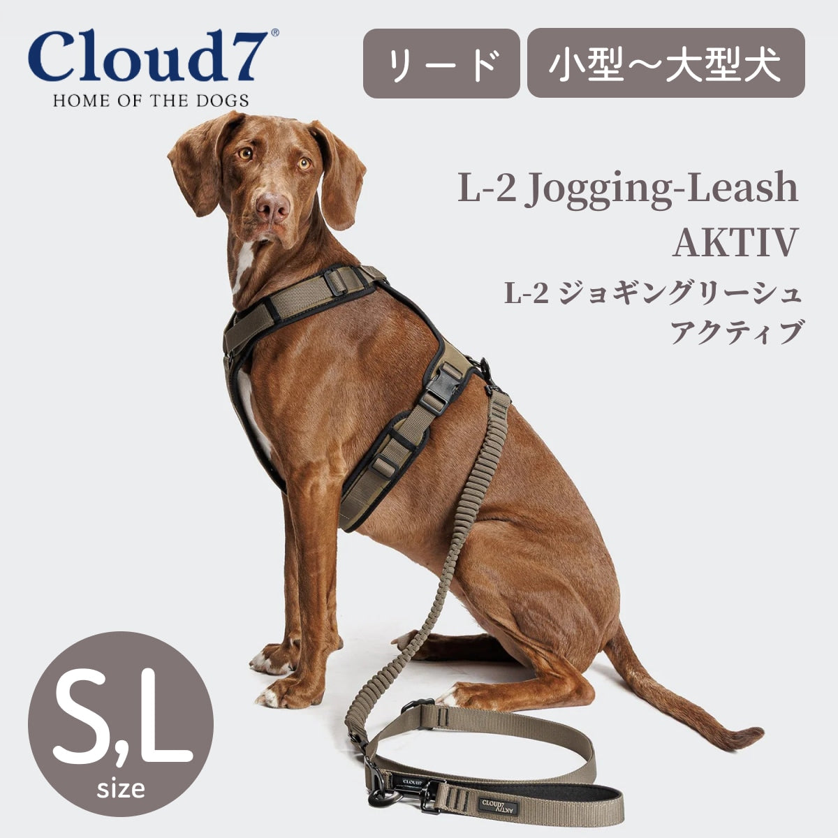【Cloud7 クラウドセブン】L-2 ジョギング リーシュ アクティブ オリーブ S,Lサイズ