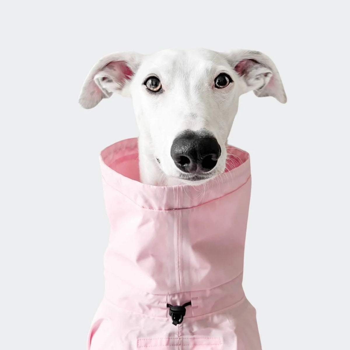 【Cloud7 クラウドセブン】犬用 レインコート アクティブ AKTIV サイズ1〜6
