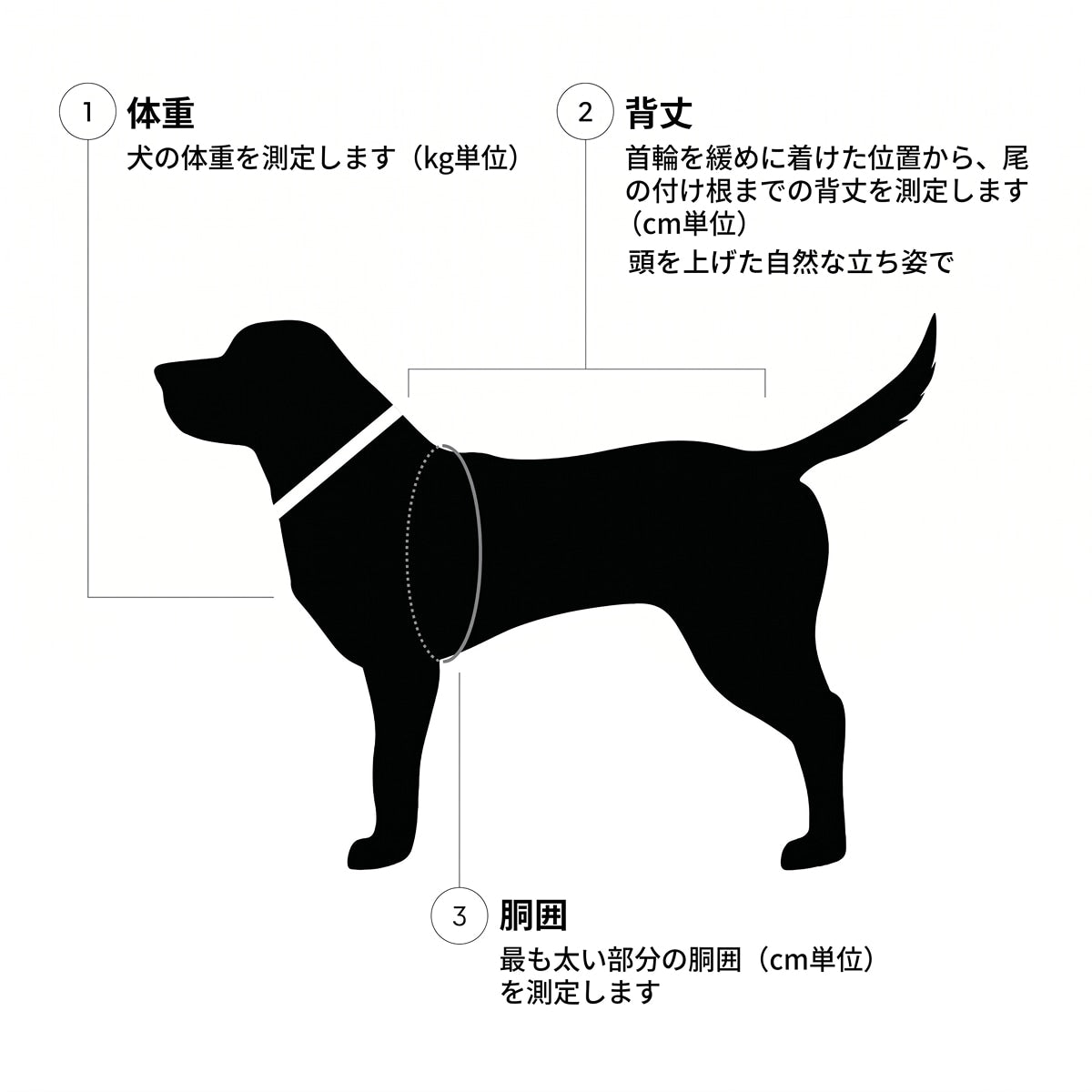 【Cloud7 クラウドセブン】犬用 レインコート アクティブ AKTIV サイズ1〜6