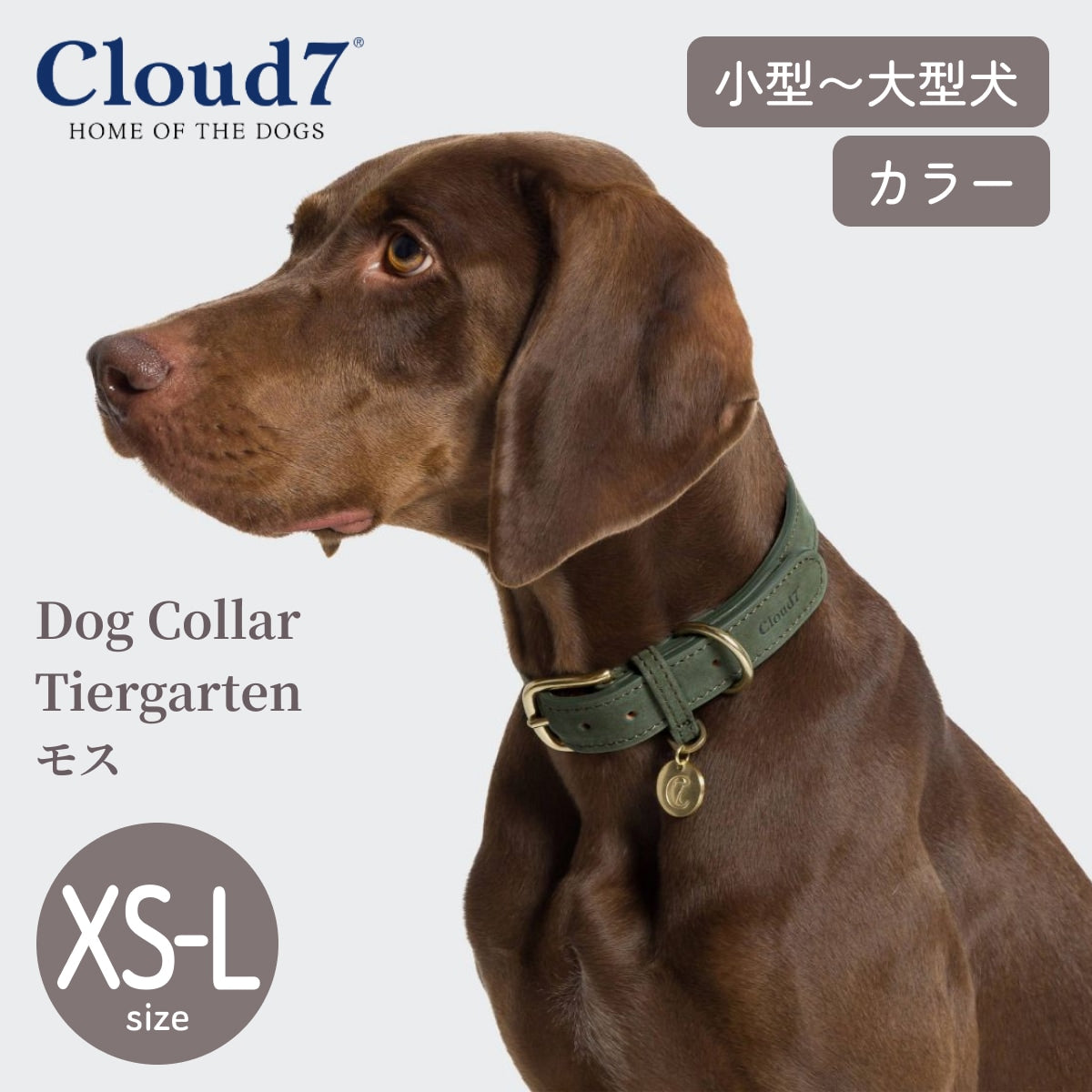【Cloud7 クラウドセブン】ドッグカラー ティーアガルテン モス XS S M Lサイズ