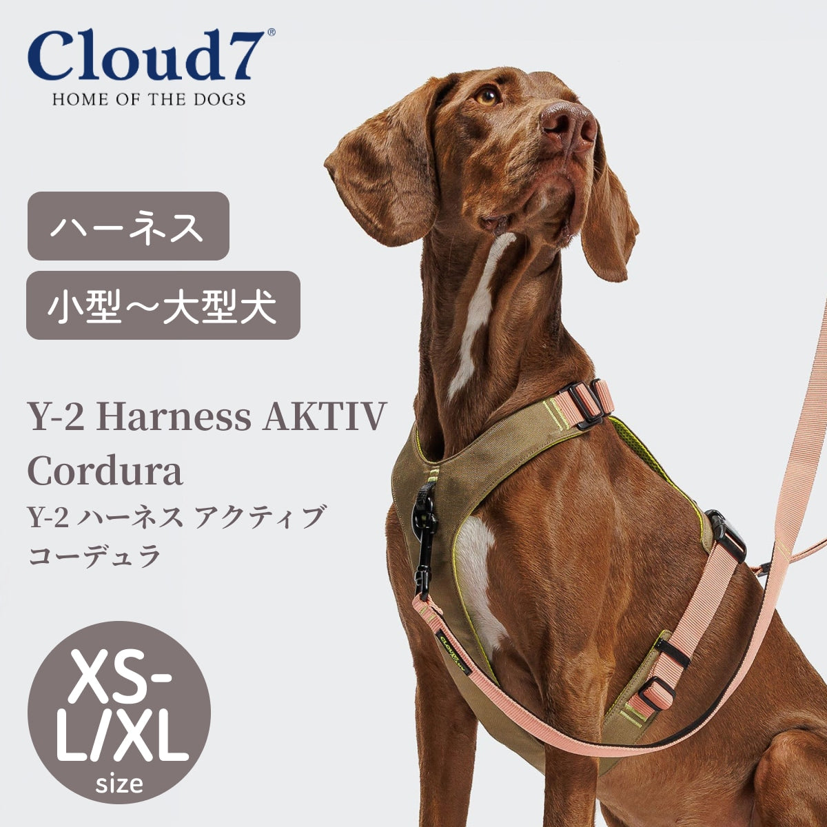 【Cloud7 クラウドセブン】Y-2 ハーネス アクティブ コーデュラ ピーチ XS〜L /XL
