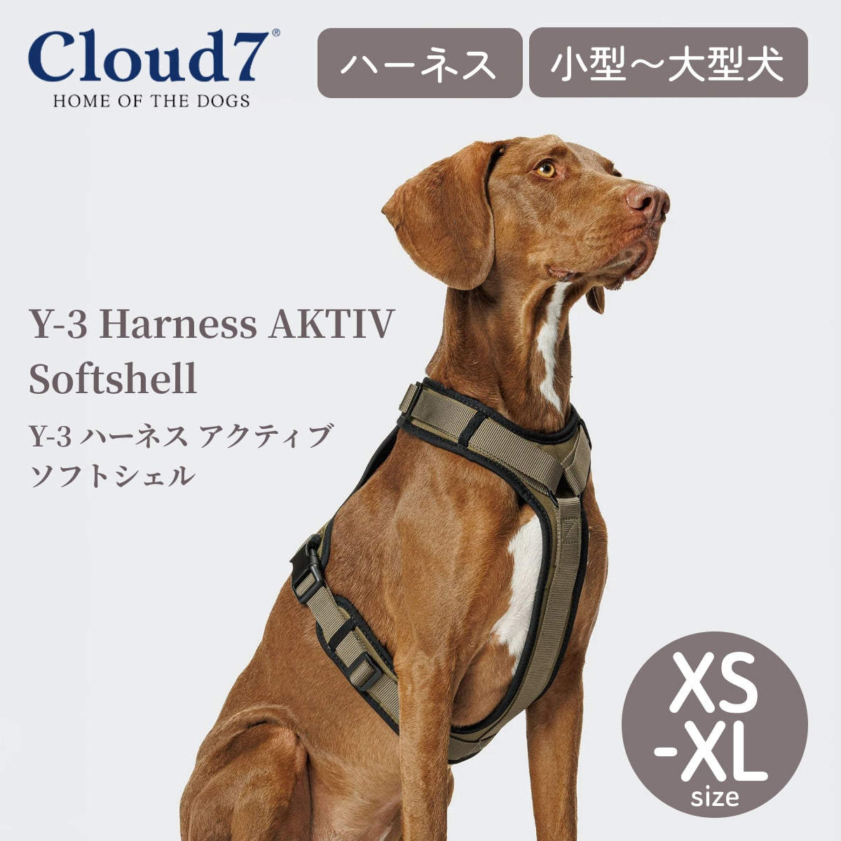 【Cloud7 クラウドセブン】Y-3 ハーネス アクティブ ソフトシェル オリーブ XS〜XL