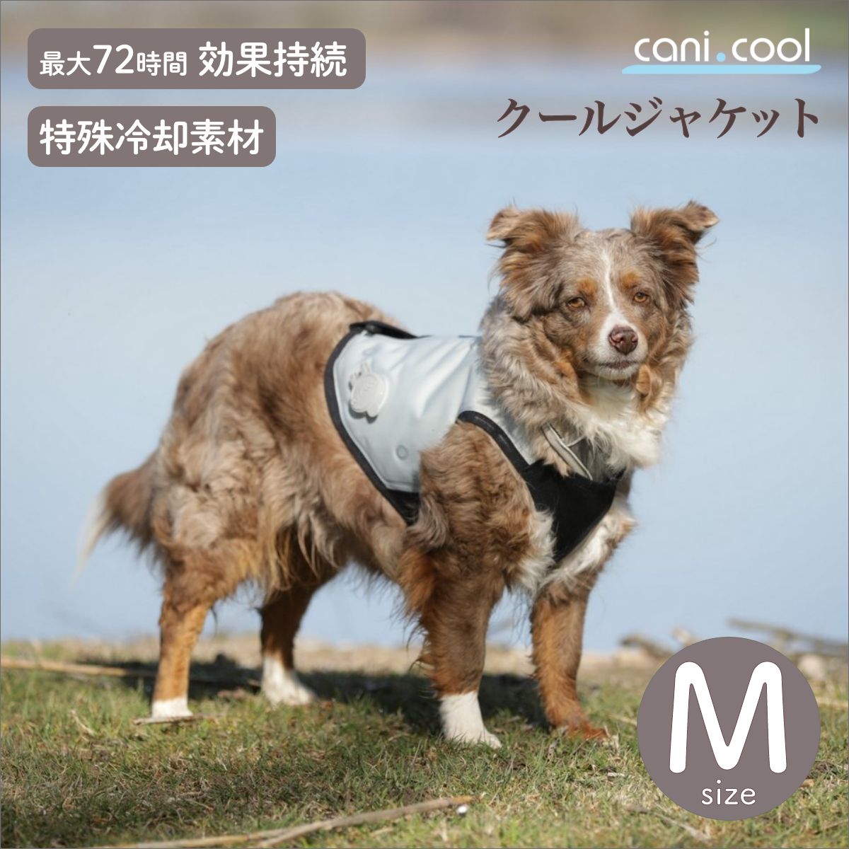 【cani.cool カニクール】クールジャケット Mサイズ  クールコート