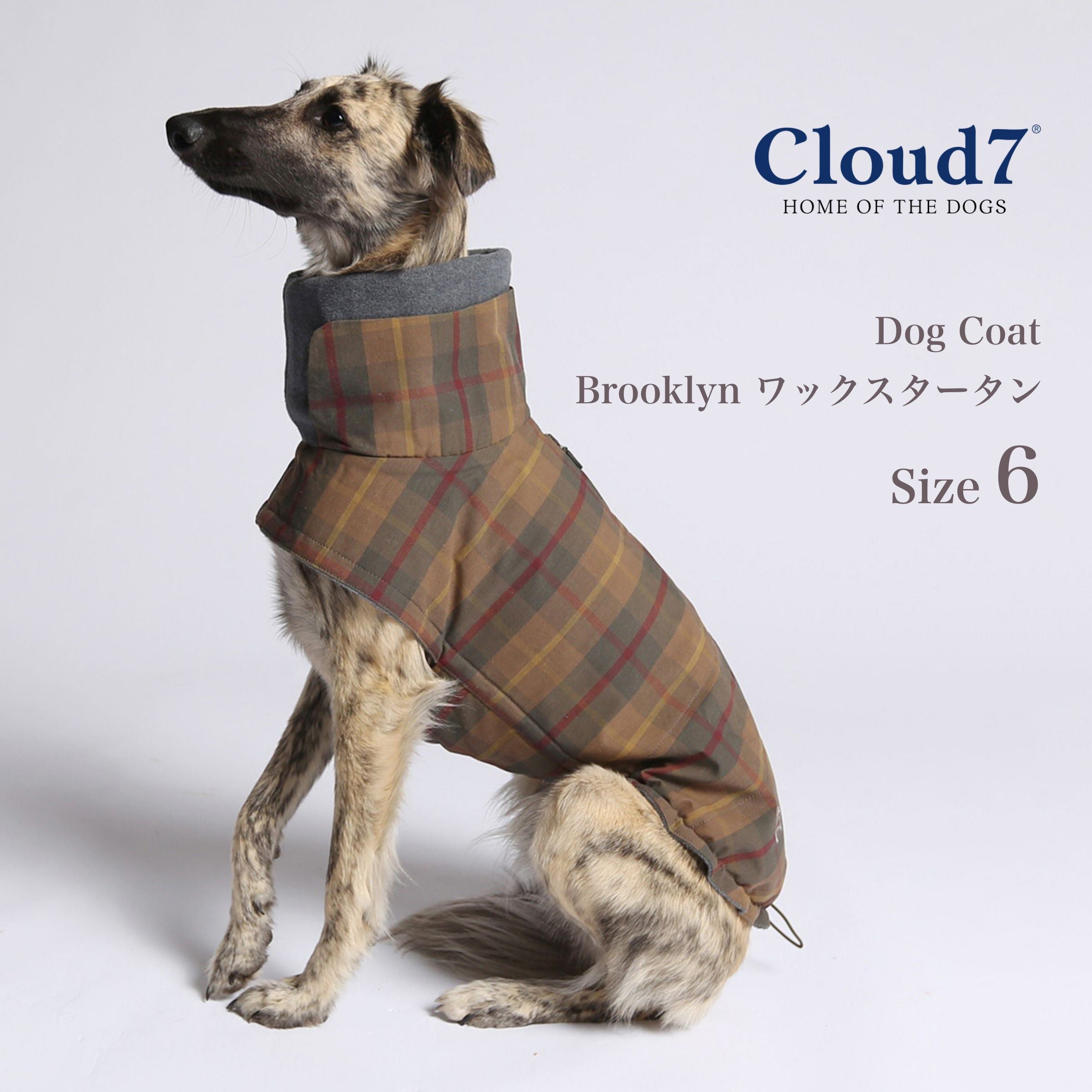 【Cloud7 クラウドセブン】犬用コート Brooklyn Waxed Tartan ブルックリンワックスタータン SIZE6