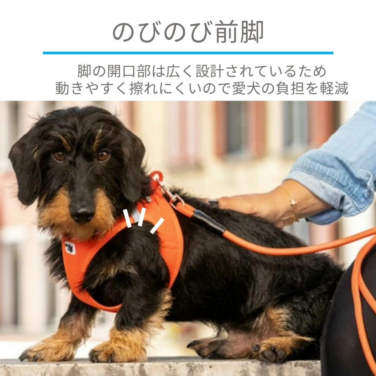 Curli カーリー】ベストエアメッシュハーネス クラスプ 3XS 2XS XS Sサイズ