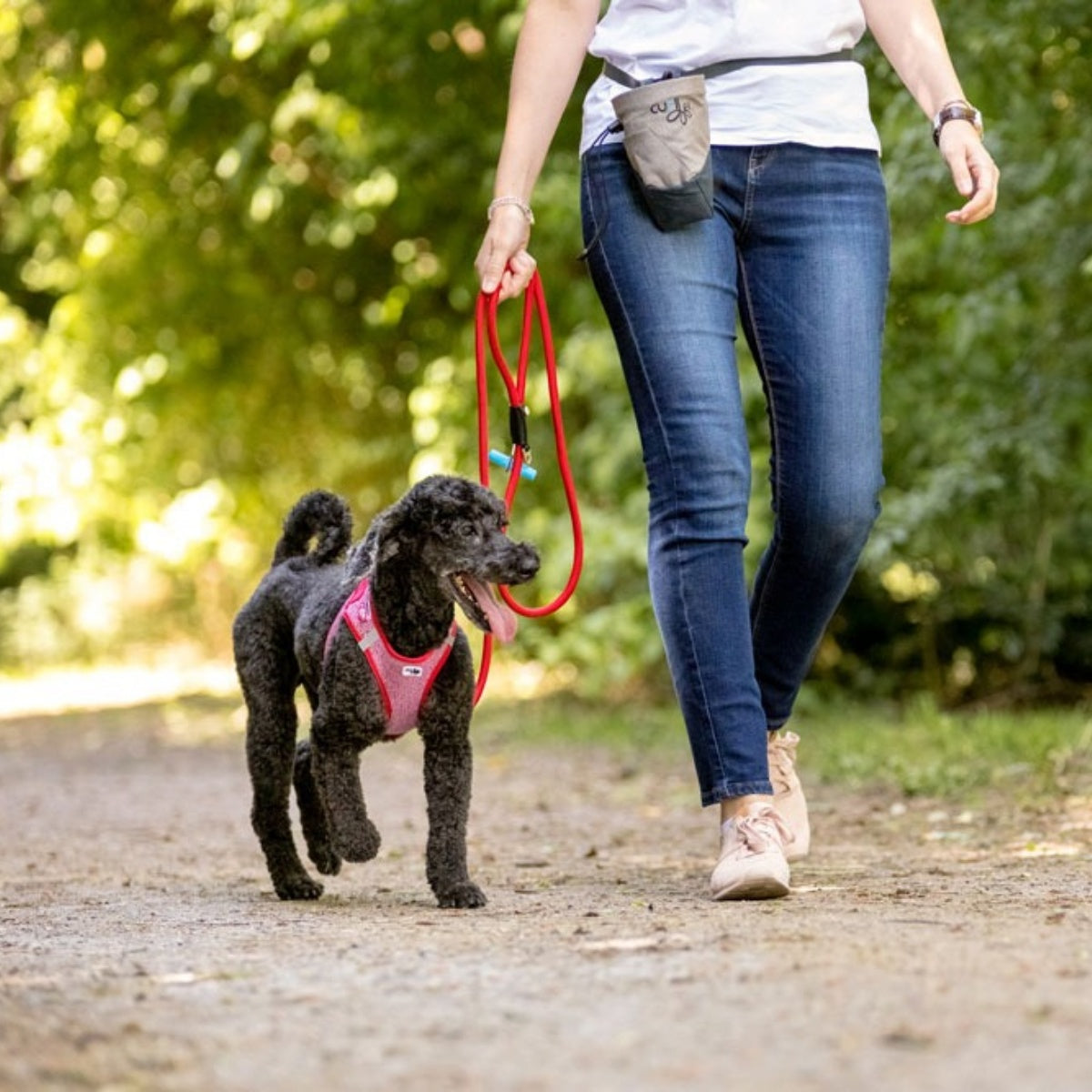 【Curli カーリー】ストレッチコンフォートドッグリード Mサイズ 小型犬 リード マナー袋フォルダー ストレッチ