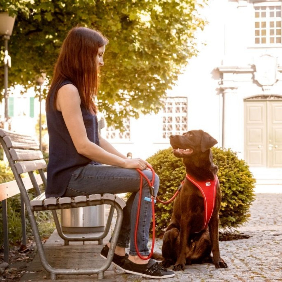 【Curli カーリー】ストレッチコンフォートドッグリード Mサイズ 小型犬 リード マナー袋フォルダー ストレッチ