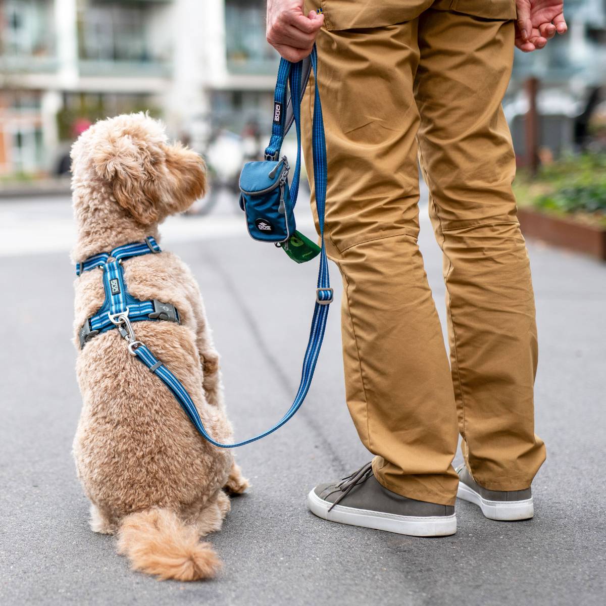 【DOG Copenhagen ドッグコペンハーゲン】ポーチオーガナイザー リーシュバッグ【2024年モデル】