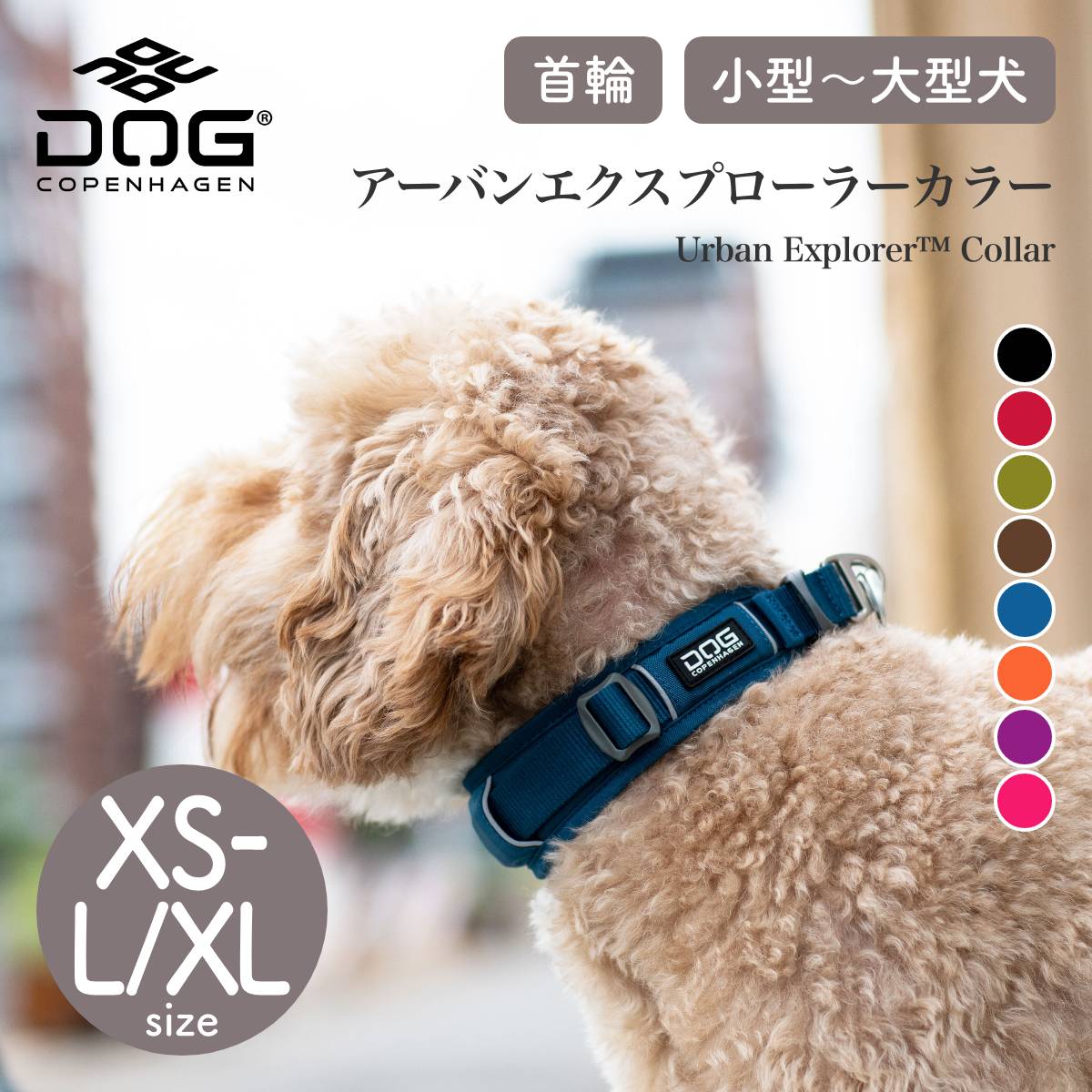 【DOG Copenhagen ドッグコペンハーゲン】アーバンエクスプローラーカラー XS〜L/XLサイズ【2024年モデル】