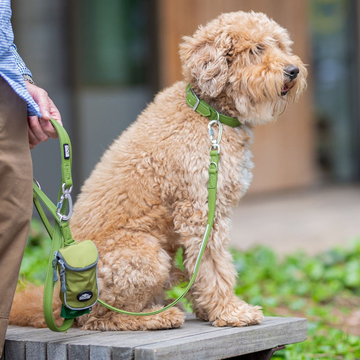 【DOG Copenhagen ドッグコペンハーゲン】アーバンクラシックカラー XS〜XLサイズ