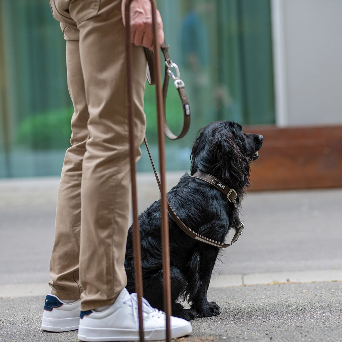 【DOG Copenhagen ドッグコペンハーゲン】アーバンクラシックカラー XS〜XLサイズ