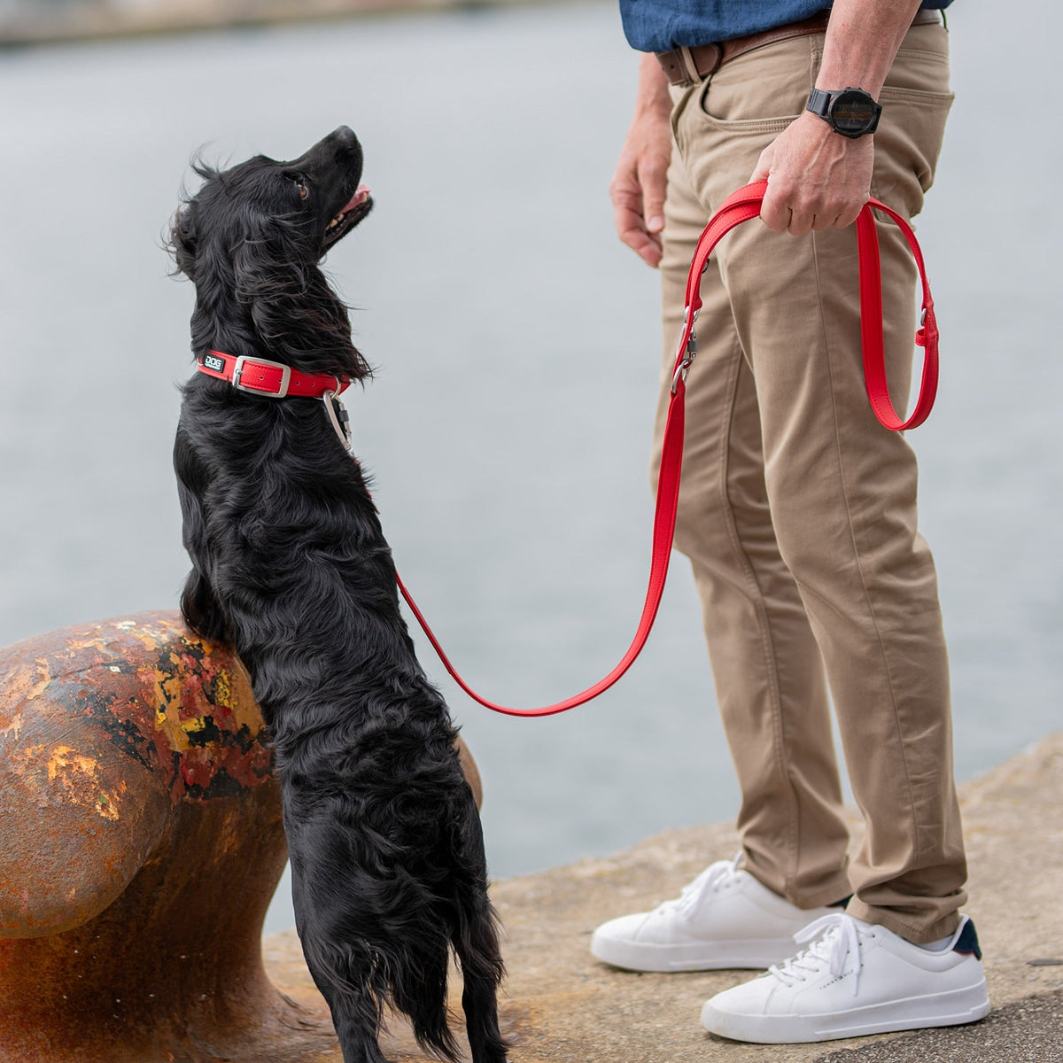【DOG Copenhagen ドッグコペンハーゲン】アーバンクラシックカラー XS〜XLサイズ