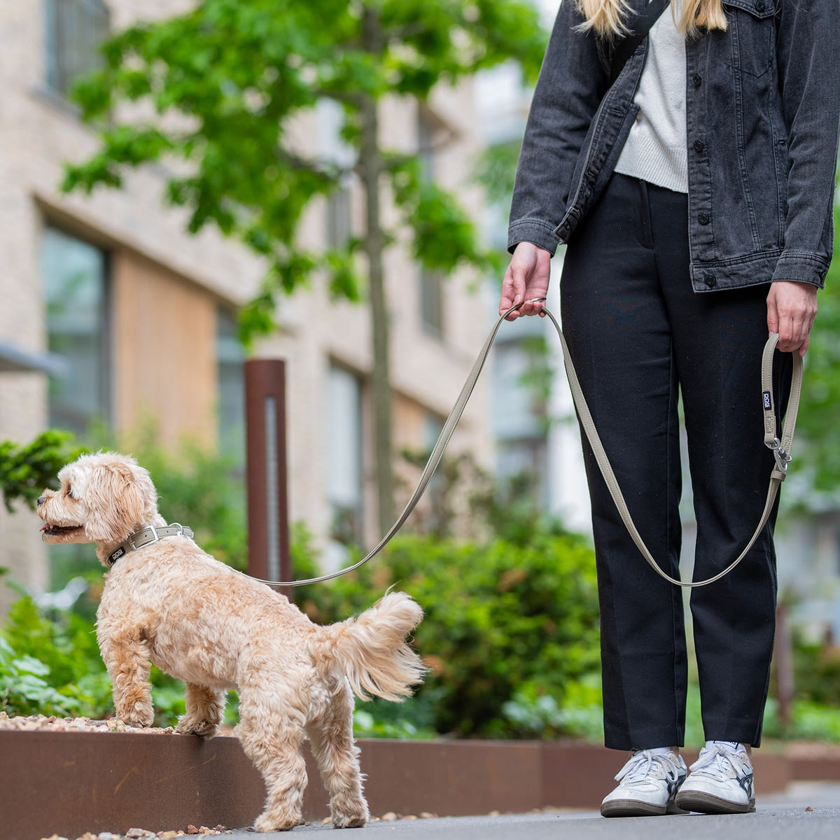 【DOG Copenhagen ドッグコペンハーゲン】アーバンクラシックリーシュ S,Lサイズ ハンズフリー リーシュ