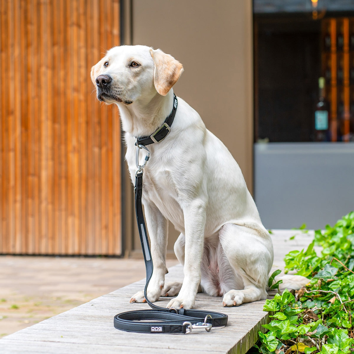 【DOG Copenhagen ドッグコペンハーゲン】アーバンクラシックリーシュ S,Lサイズ ハンズフリー リーシュ