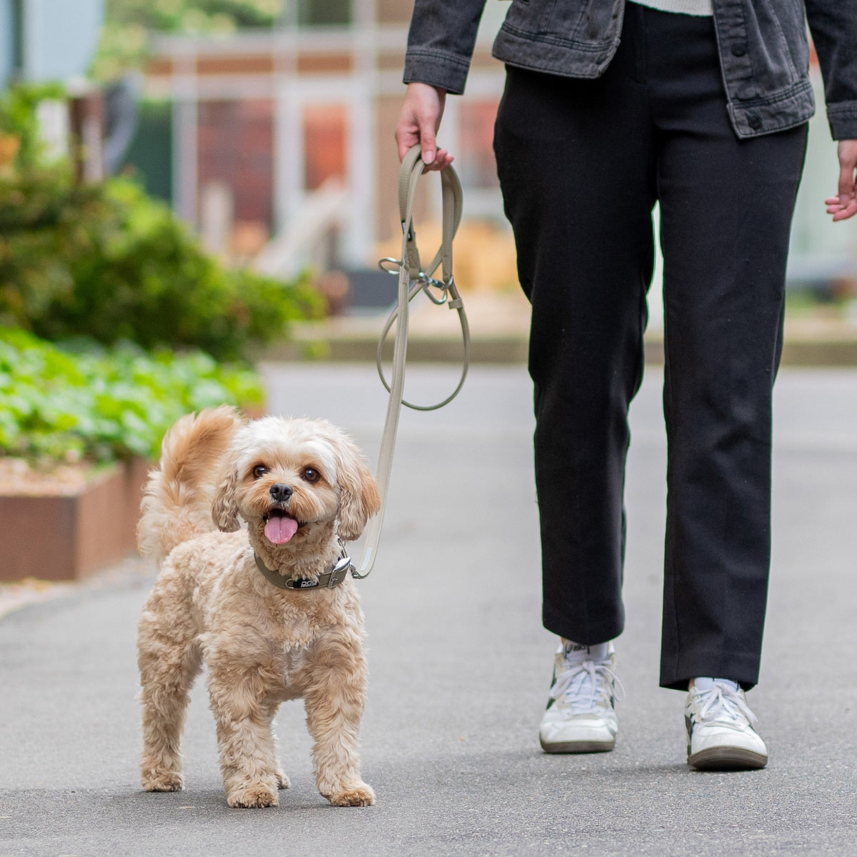 【DOG Copenhagen ドッグコペンハーゲン】アーバンクラシックリーシュ S,Lサイズ ハンズフリー リーシュ