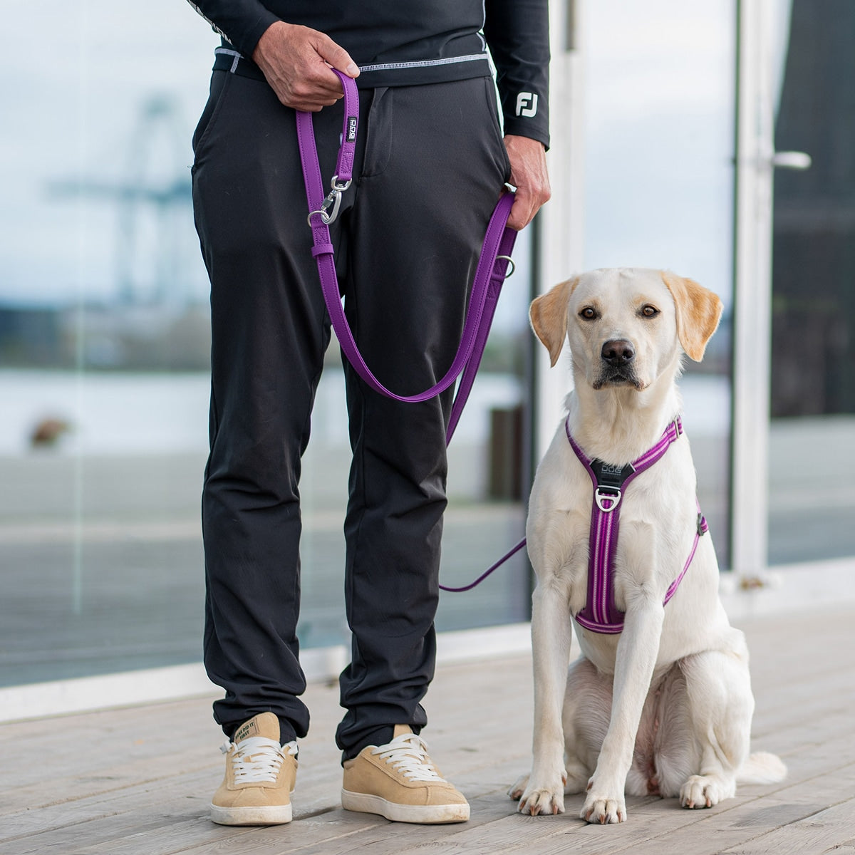 【DOG Copenhagen ドッグコペンハーゲン】アーバンクラシックリーシュ S,Lサイズ ハンズフリー リーシュ