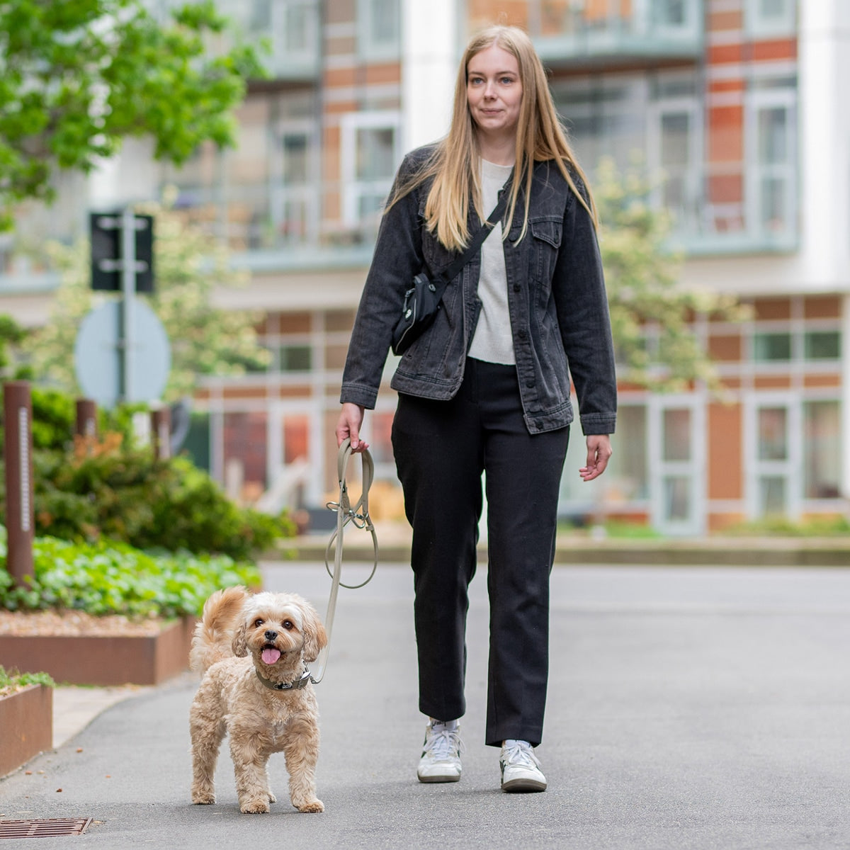 【DOG Copenhagen ドッグコペンハーゲン】アーバンクラシックリーシュ S,Lサイズ ハンズフリー リーシュ