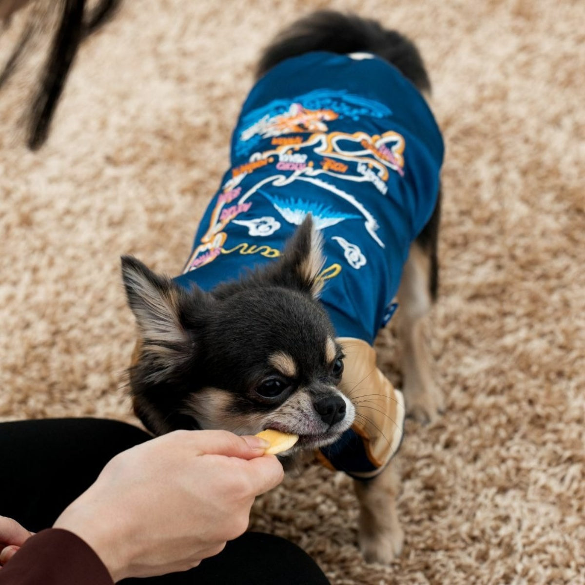 【dot wan ドットわん】ペット用 おやつ 平飼いたまごせんべい 60g