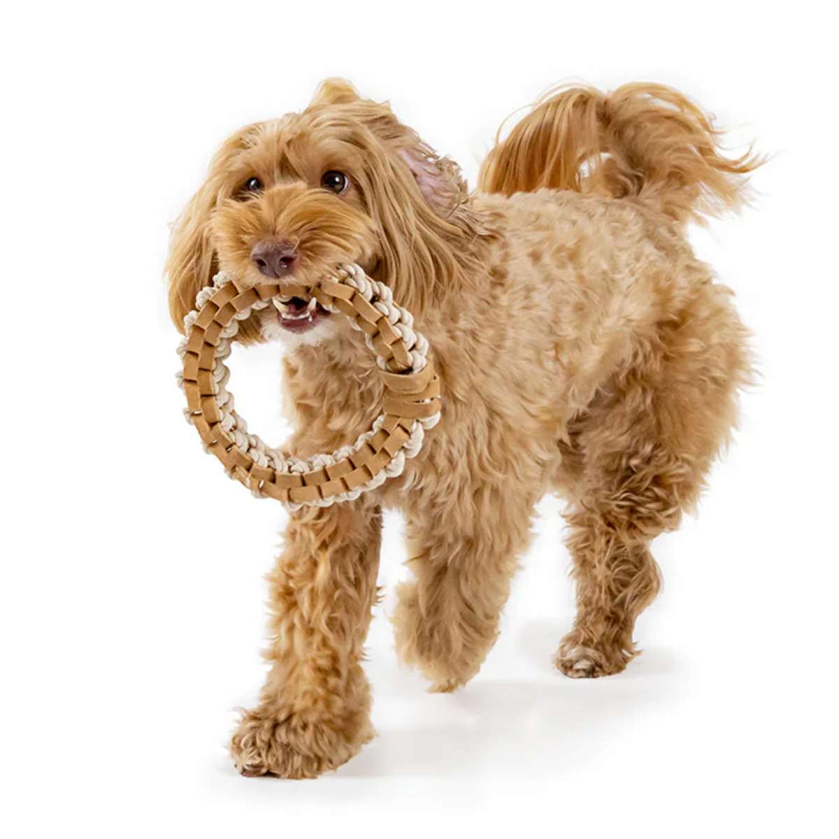 【FAD ファッド】レザー＆コットン・トイ／リング