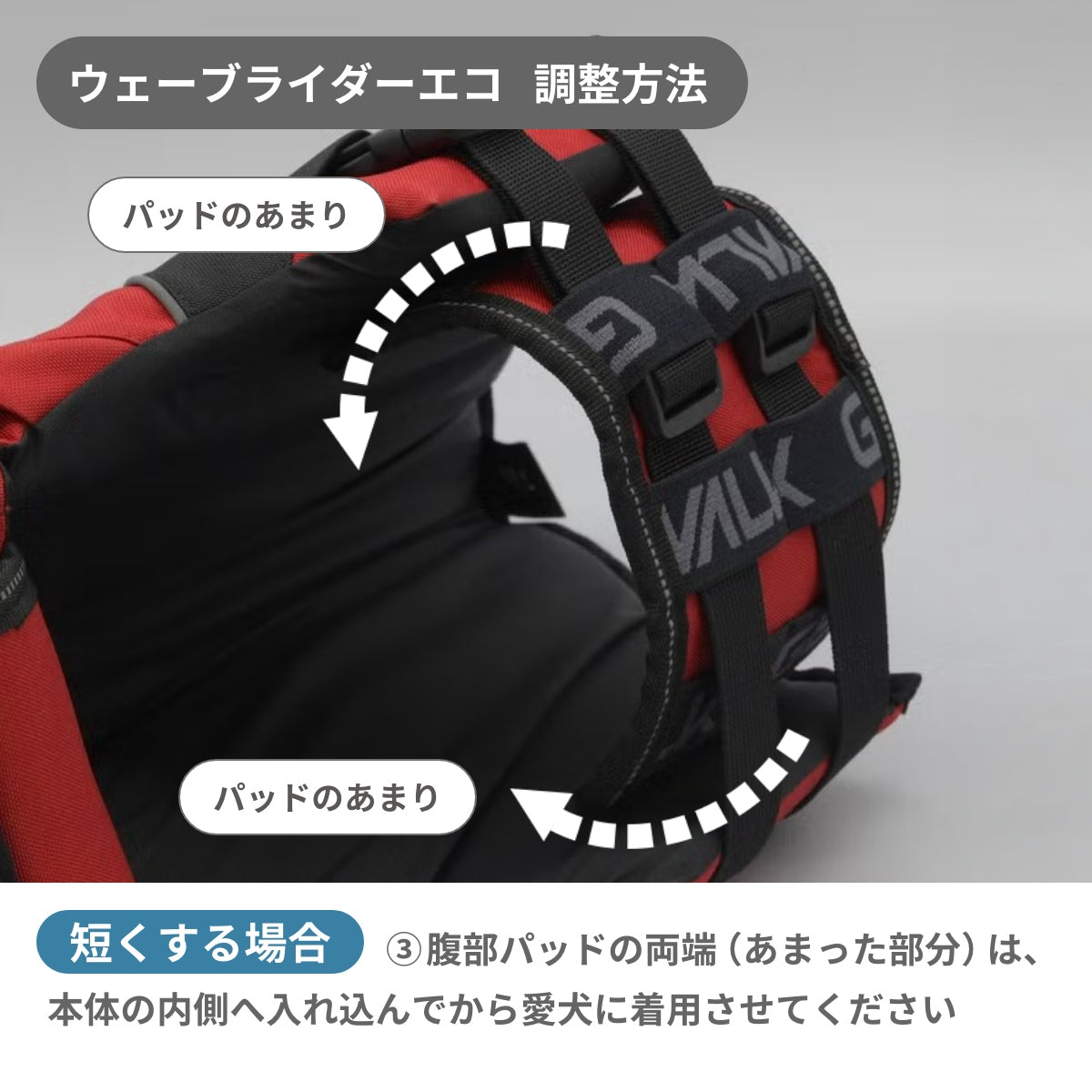 【GEWALK ジウォーク】【2026年モデル】ウェーブライダー エコ XXS〜Sサイズ