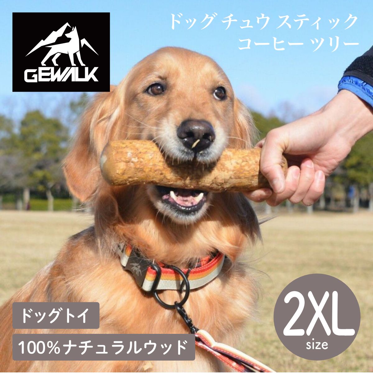 【GEWALK ジウォーク】ドッグ チュウ スティック コーヒー ツリー 2XLサイズ