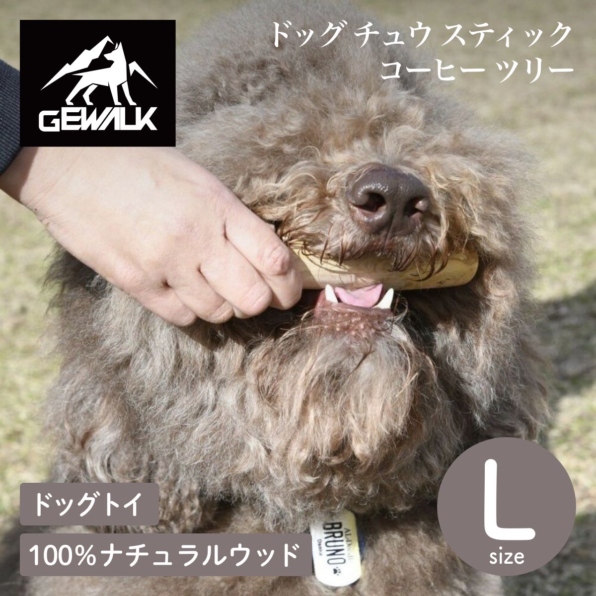 【GEWALK ジウォーク】ドッグ チュウ スティック コーヒー ツリー Lサイズ